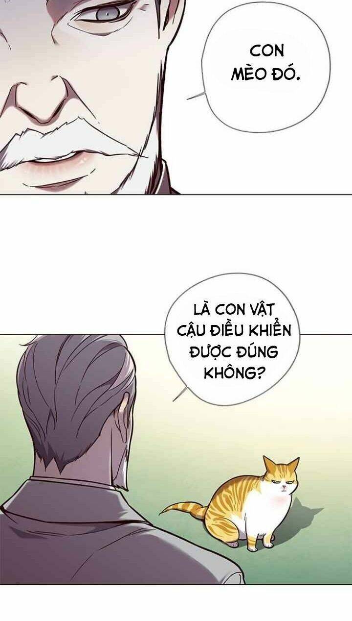 Hoá Thân Thành Mèo - Chapter 92 - Page 24