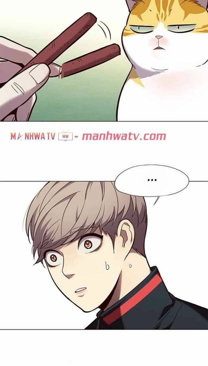 Hoá Thân Thành Mèo - Chapter 92 - Page 29