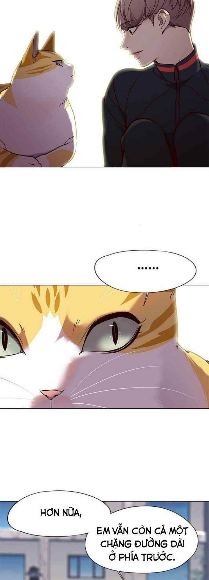 Hoá Thân Thành Mèo - Chapter 92 - Page 38