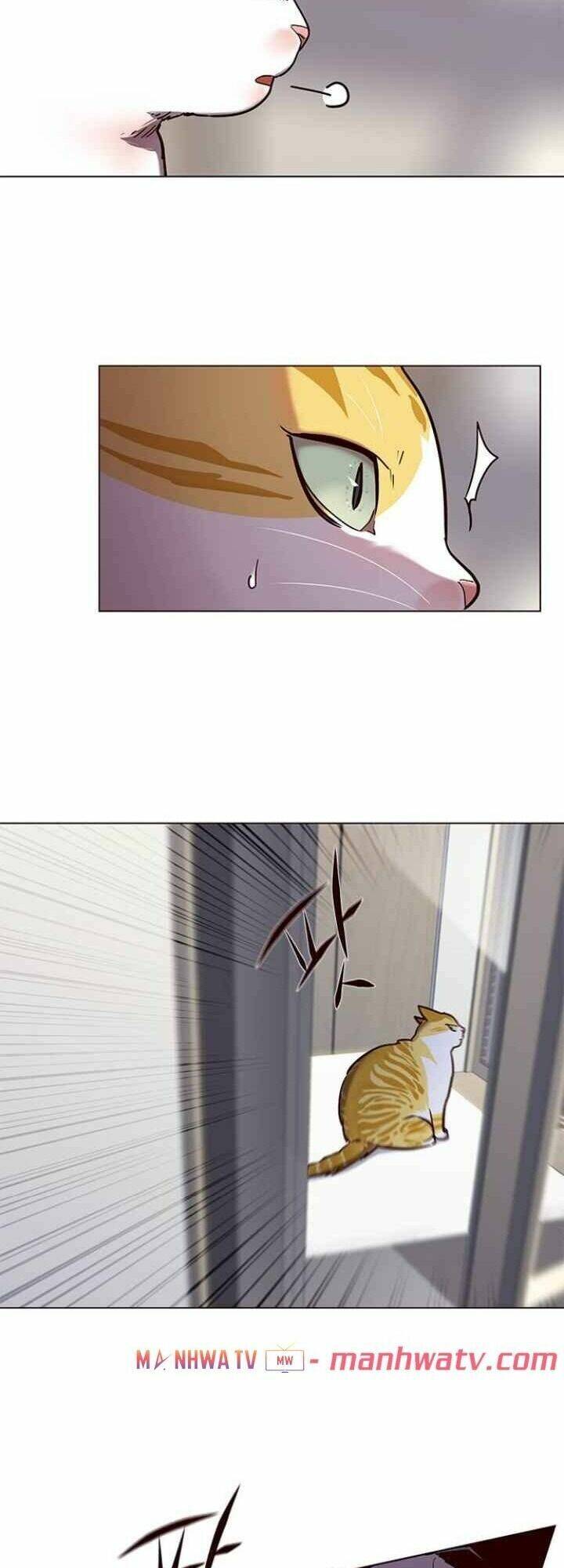 Hoá Thân Thành Mèo - Chapter 92 - Page 58