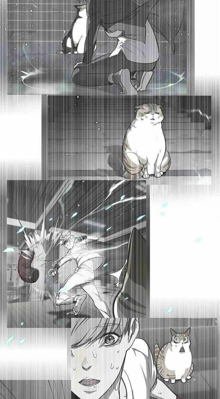 Hoá Thân Thành Mèo - Chapter 93 - Page 35