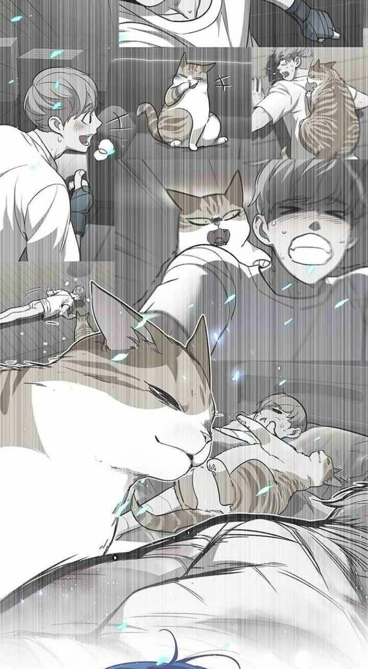 Hoá Thân Thành Mèo - Chapter 93 - Page 36