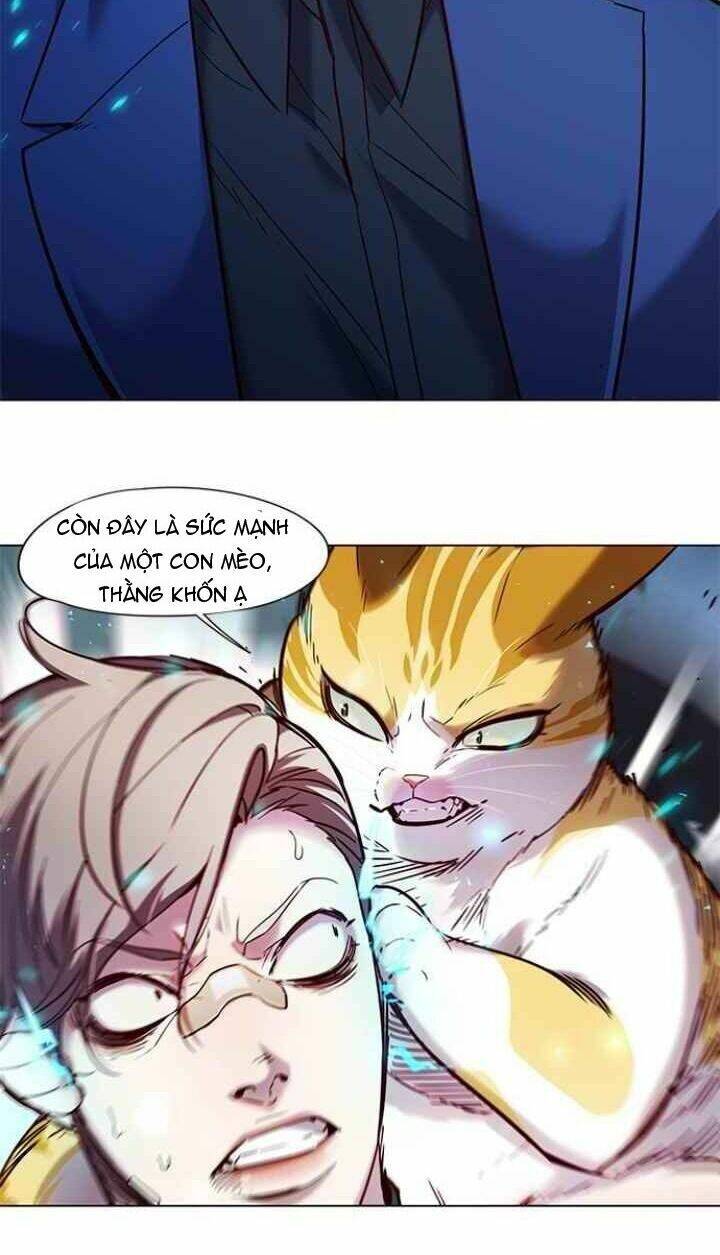 Hoá Thân Thành Mèo - Chapter 93 - Page 52