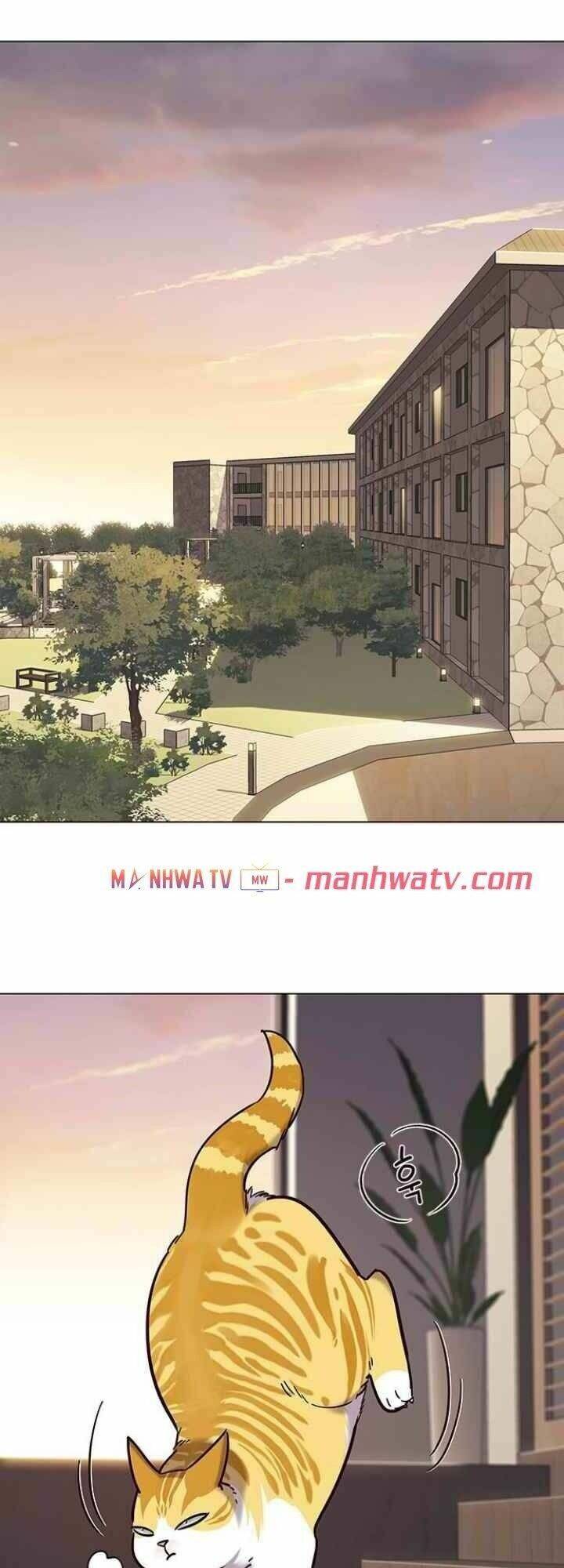 Hoá Thân Thành Mèo - Chapter 94 - Page 14