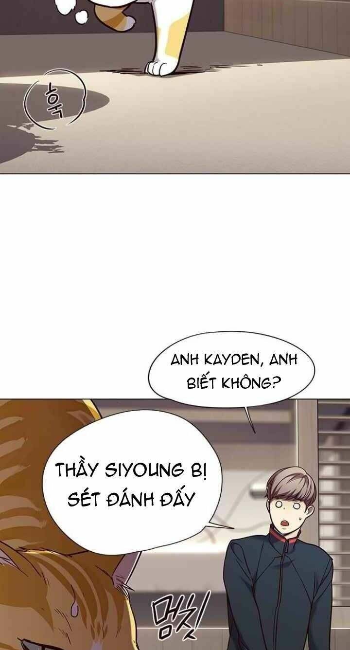 Hoá Thân Thành Mèo - Chapter 94 - Page 15