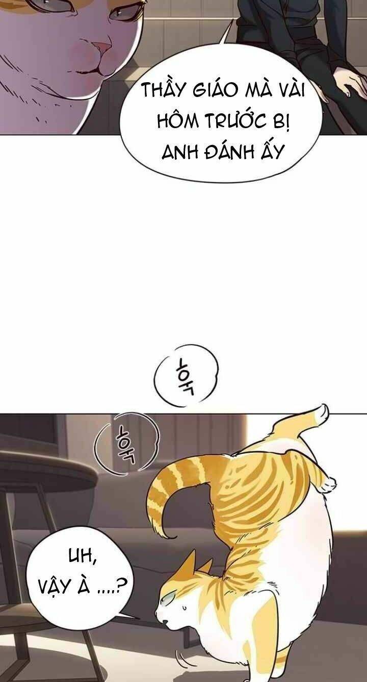 Hoá Thân Thành Mèo - Chapter 94 - Page 16