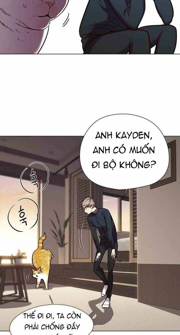 Hoá Thân Thành Mèo - Chapter 94 - Page 19