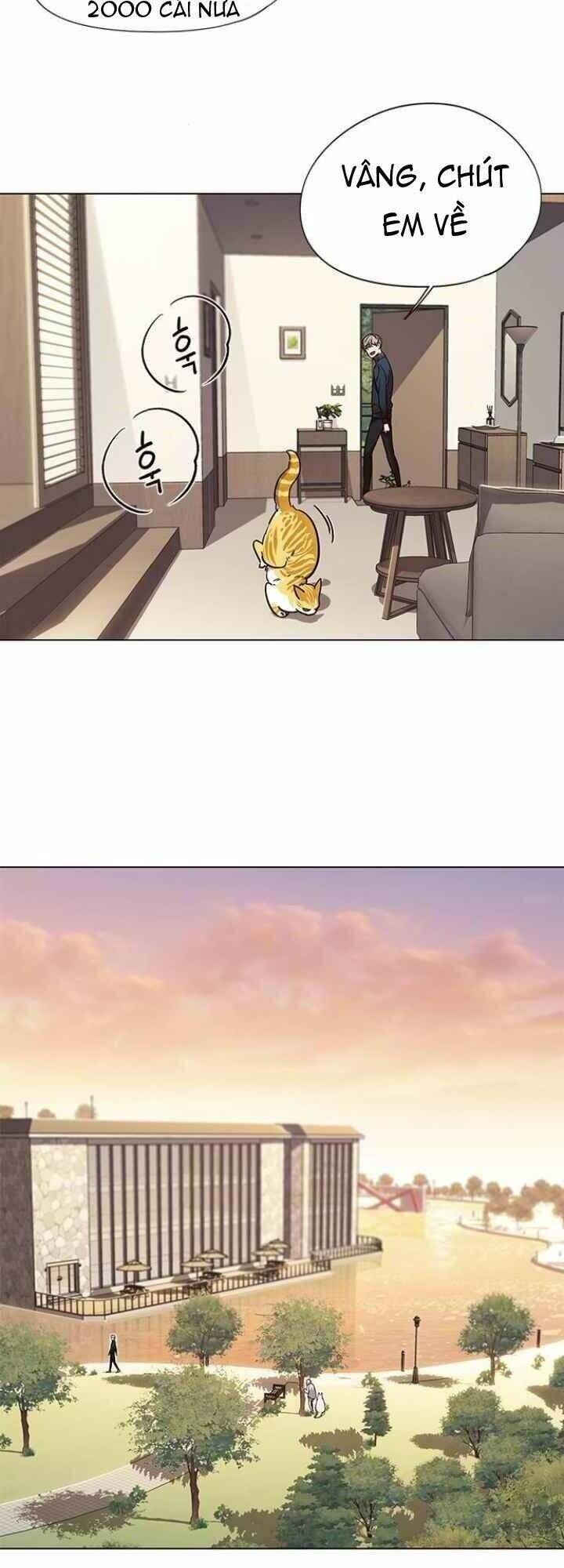 Hoá Thân Thành Mèo - Chapter 94 - Page 20