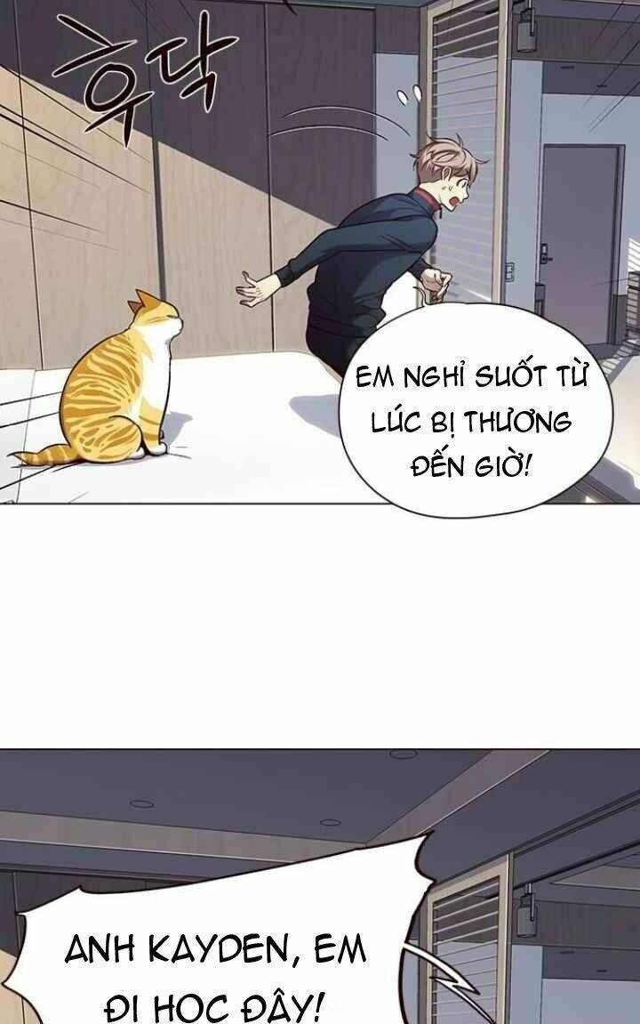 Hoá Thân Thành Mèo - Chapter 95 - Page 31