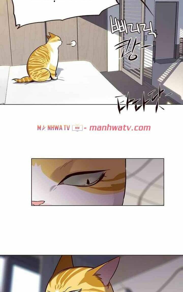 Hoá Thân Thành Mèo - Chapter 95 - Page 32