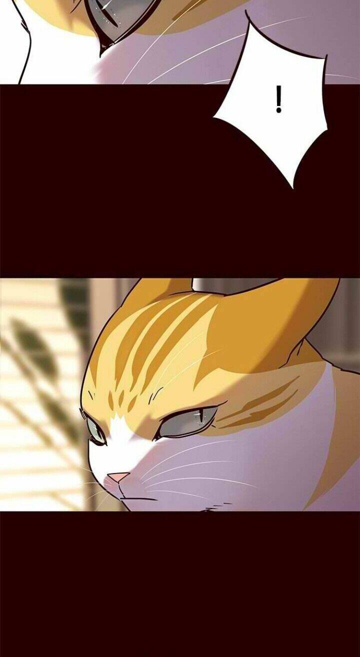 Hoá Thân Thành Mèo - Chapter 96 - Page 10