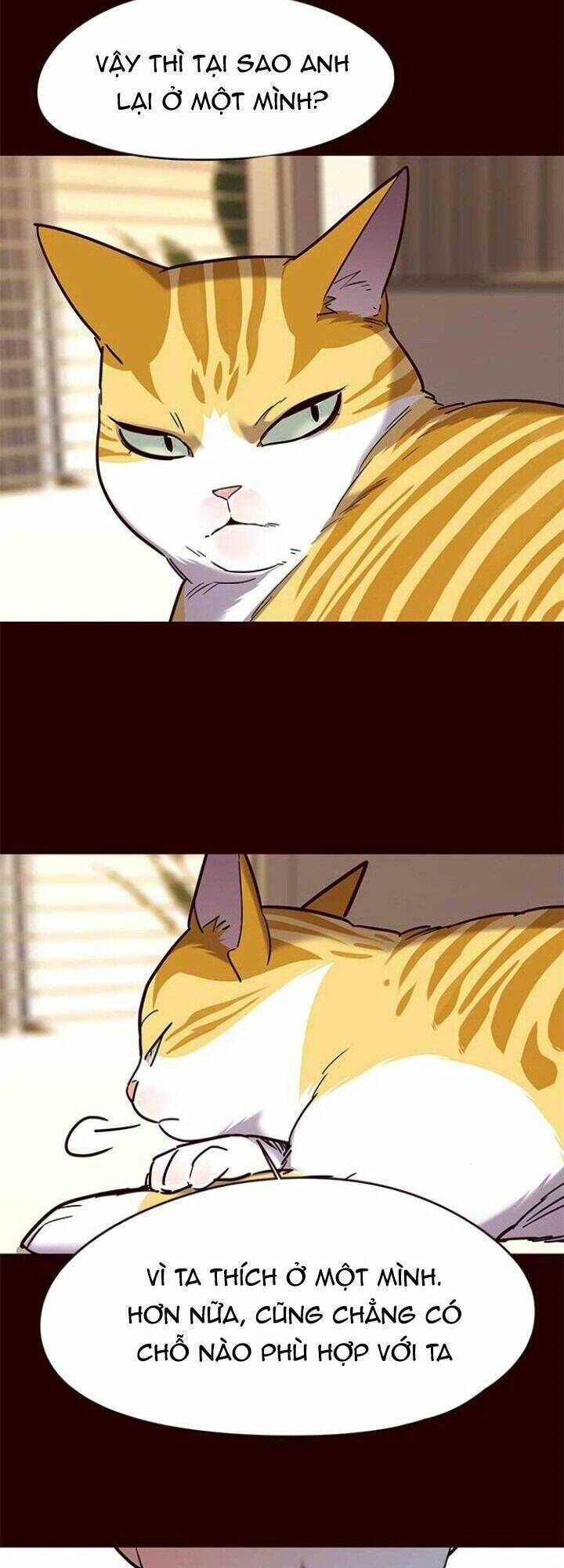 Hoá Thân Thành Mèo - Chapter 96 - Page 13
