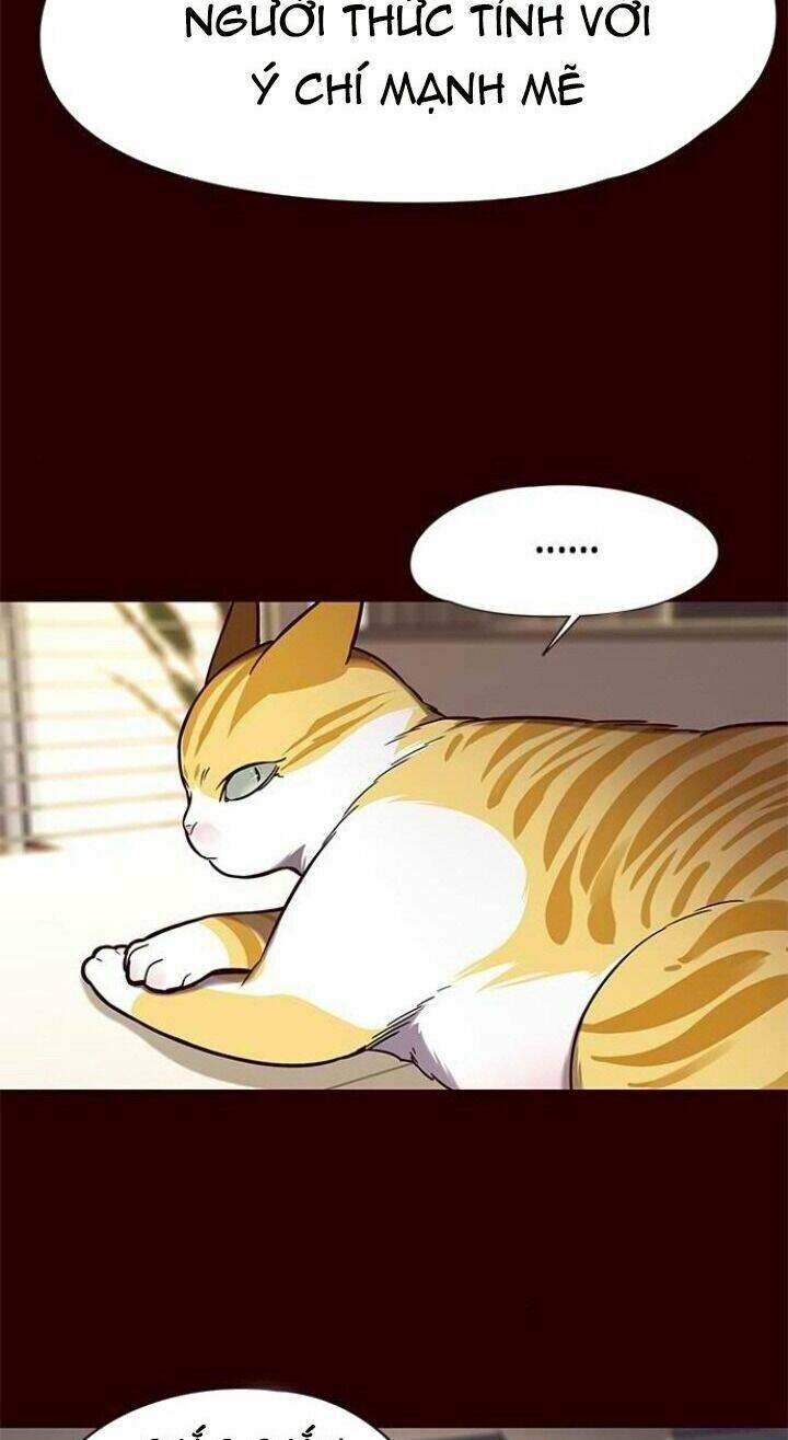 Hoá Thân Thành Mèo - Chapter 96 - Page 15