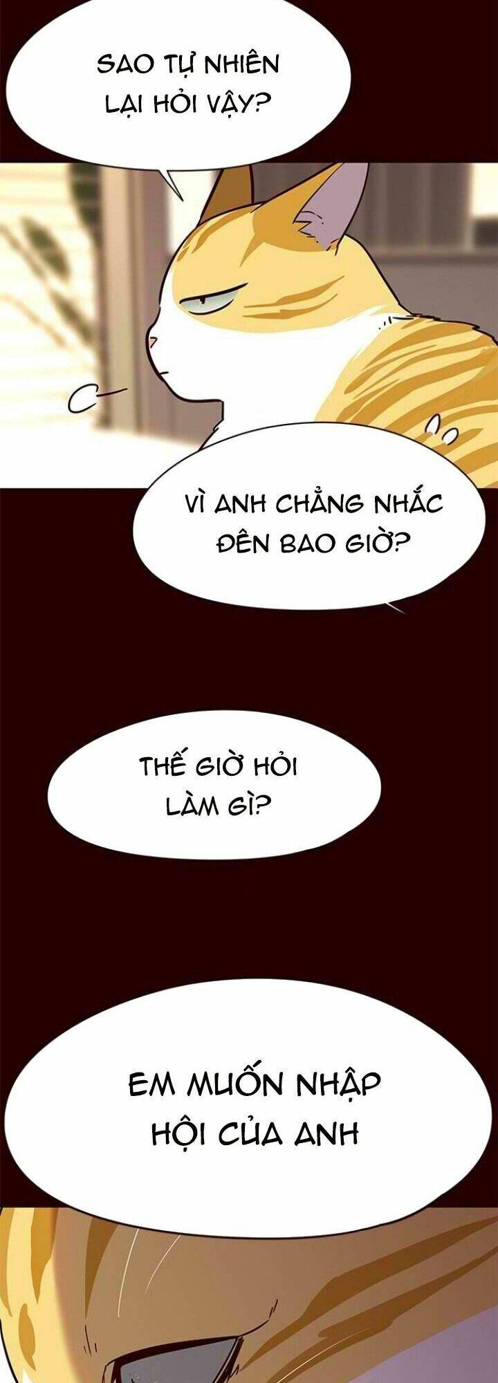 Hoá Thân Thành Mèo - Chapter 96 - Page 9