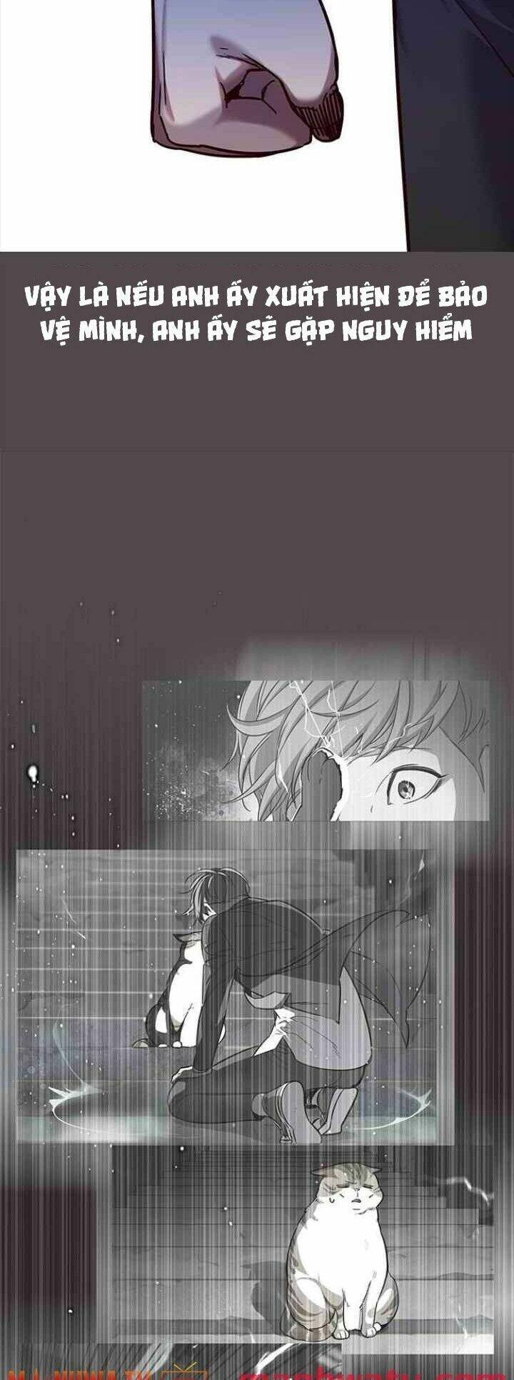 Hoá Thân Thành Mèo - Chapter 99 - Page 51