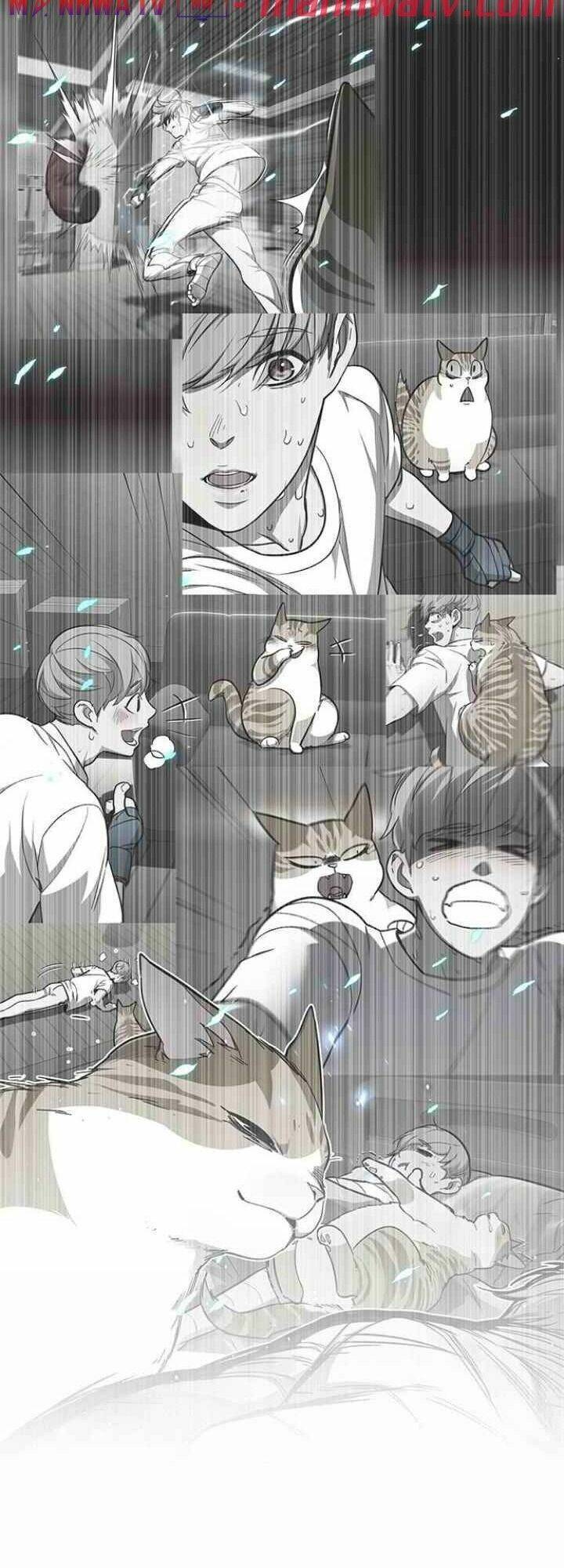 Hoá Thân Thành Mèo - Chapter 99 - Page 52