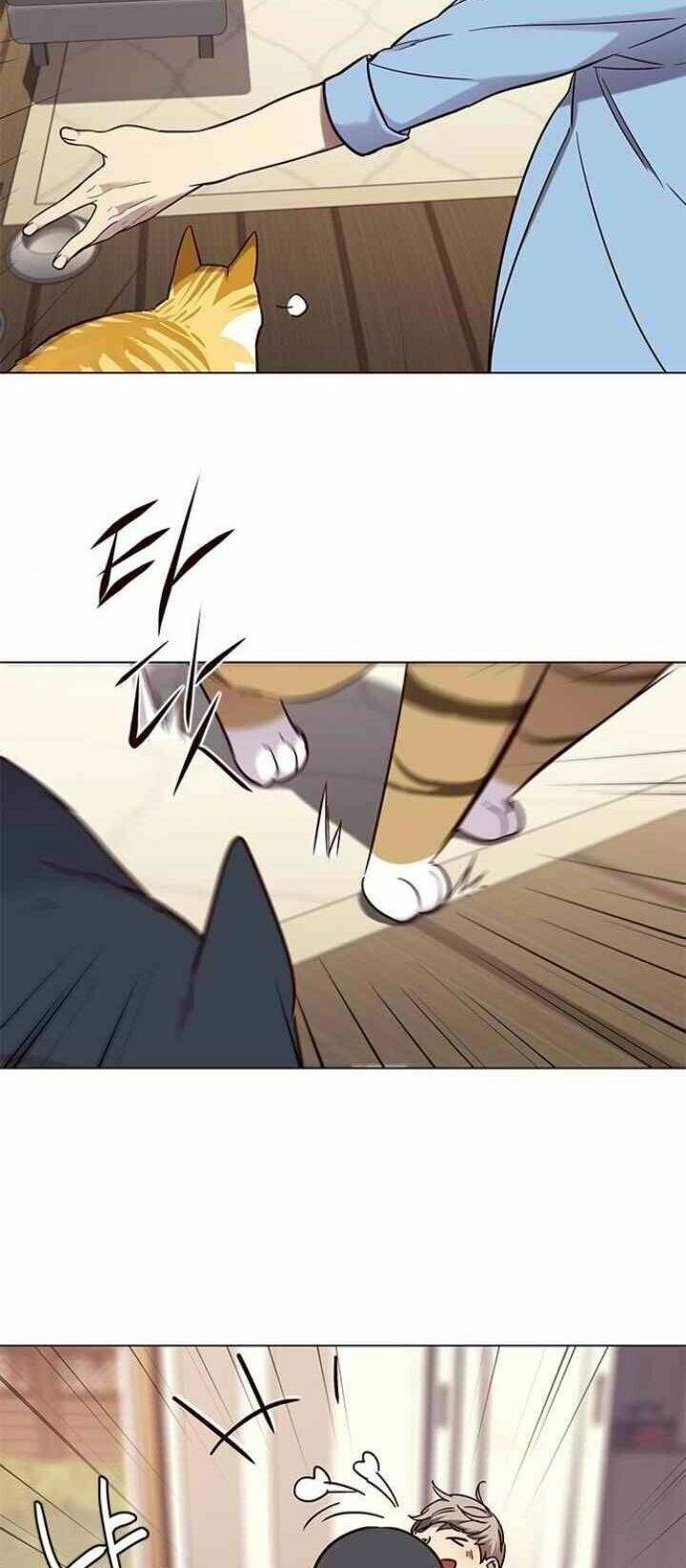 Hoá Thân Thành Mèo - Chapter 99 - Page 63