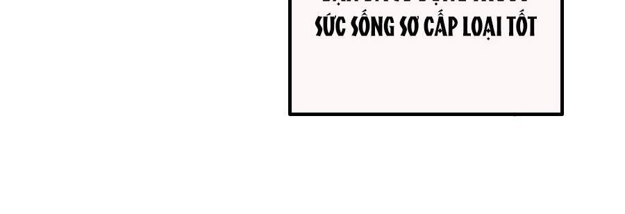 Vô Địch Bị Động Tạo Ra Tấn Sát Thương - Chapter 35 - Page 484