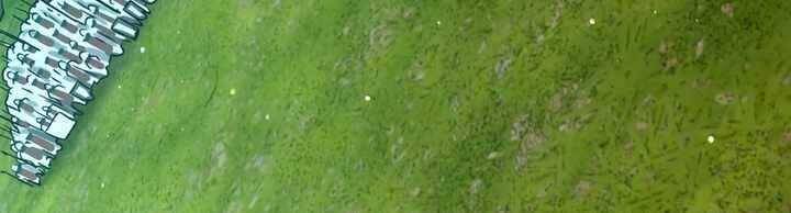 Sát thủ mạnh nhất chuyển sinh sang thế giới khác - Chapter 48 - Page 247