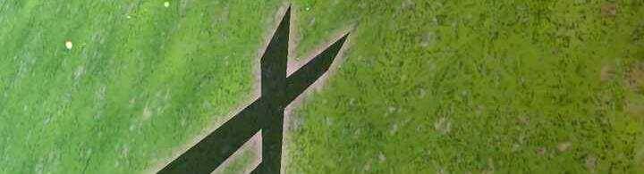 Sát thủ mạnh nhất chuyển sinh sang thế giới khác - Chapter 48 - Page 248