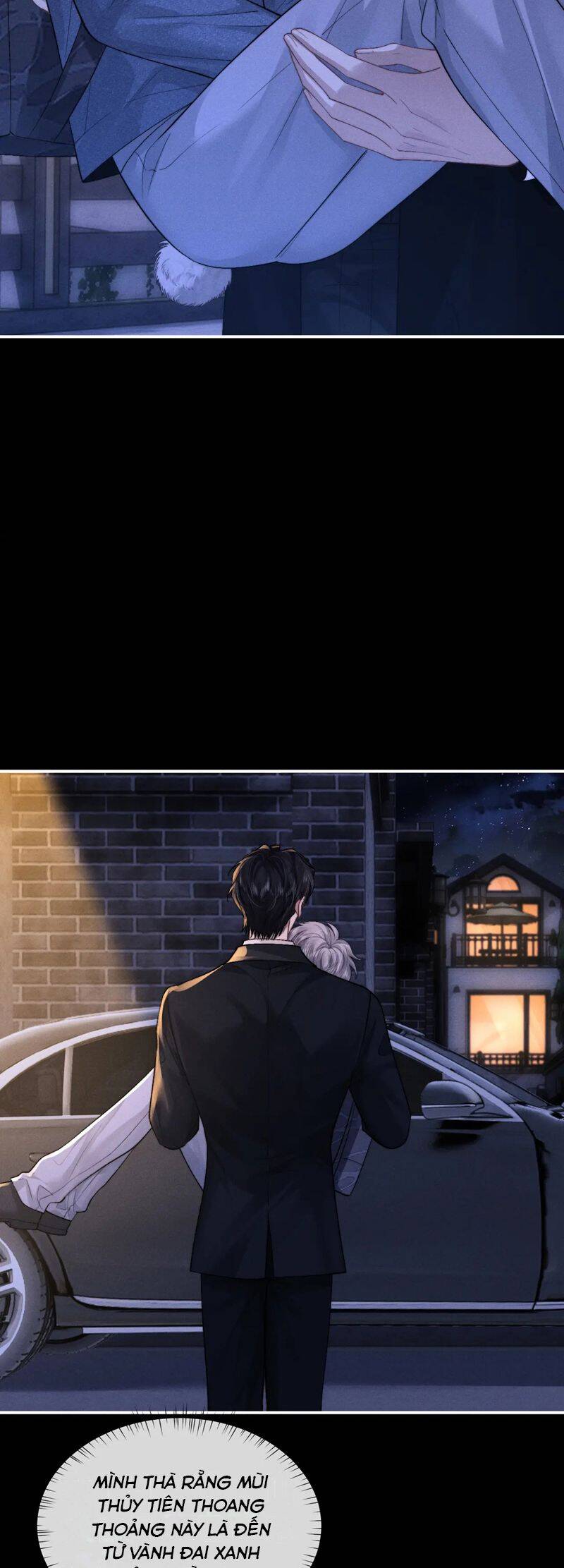 Chấp Sự Thỏ Cụp Tai - Chapter 130 - Page 10