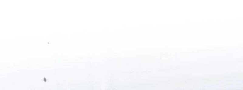 Thống Lĩnh Học Viện Chỉ Bằng Dao Sashimi - Chapter 1 - Page 445