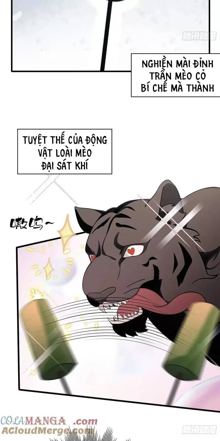 Hoá Ra Ta Đã Vô Địch Từ Lâu - Chapter 102 - Page 19