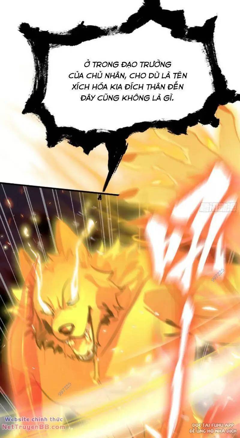 Hoá Ra Ta Đã Vô Địch Từ Lâu - Chapter 12 - Page 65