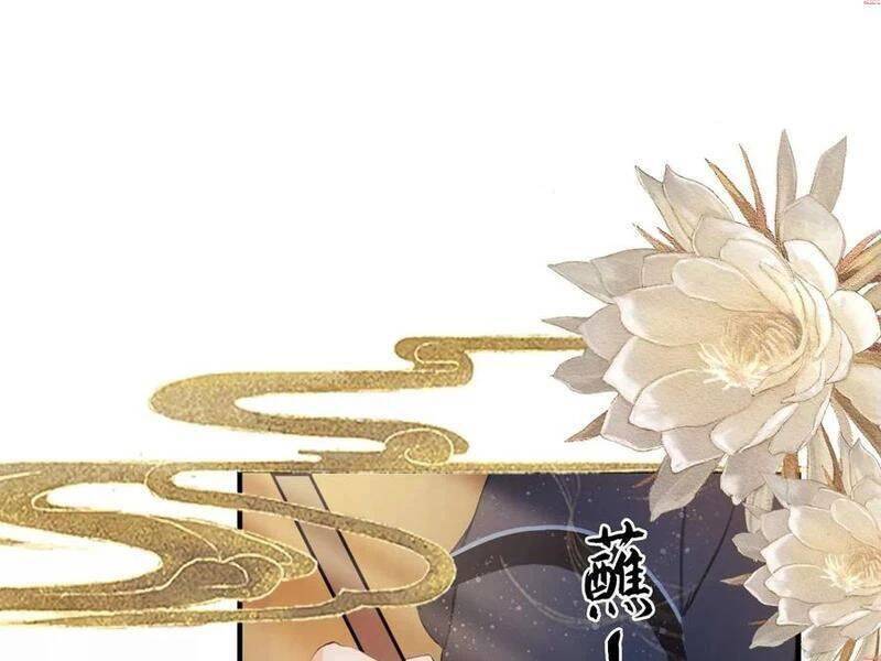 Hoá Ra Ta Đã Vô Địch Từ Lâu - Chapter 155 - Page 14