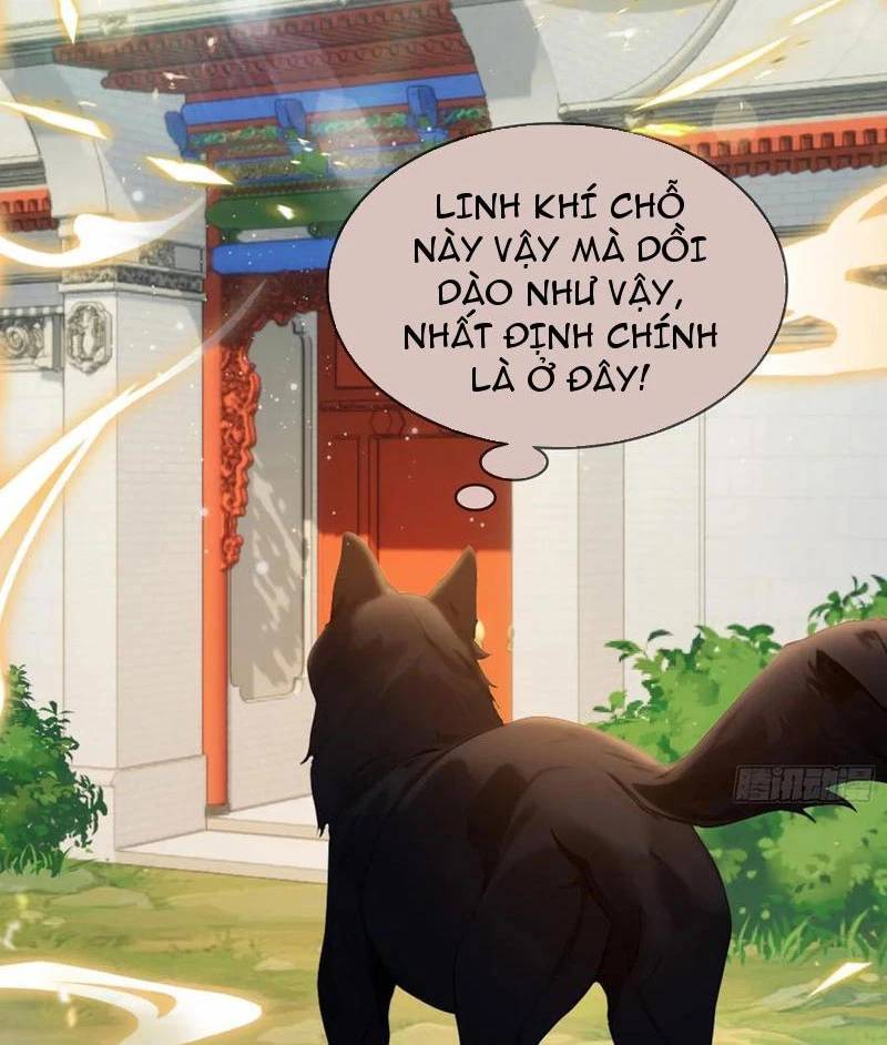 Hoá Ra Ta Đã Vô Địch Từ Lâu - Chapter 179 - Page 11
