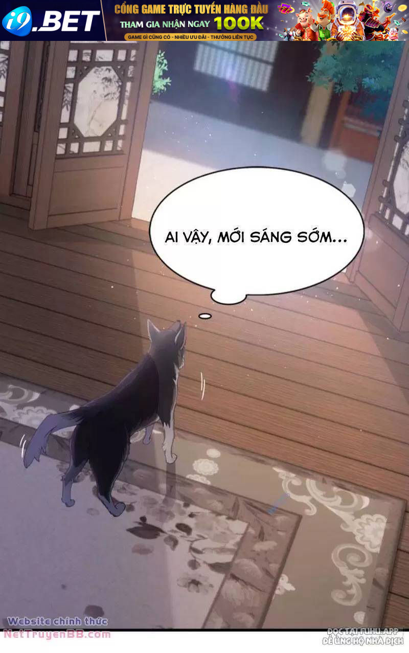 Hoá Ra Ta Đã Vô Địch Từ Lâu - Chapter 23 - Page 29