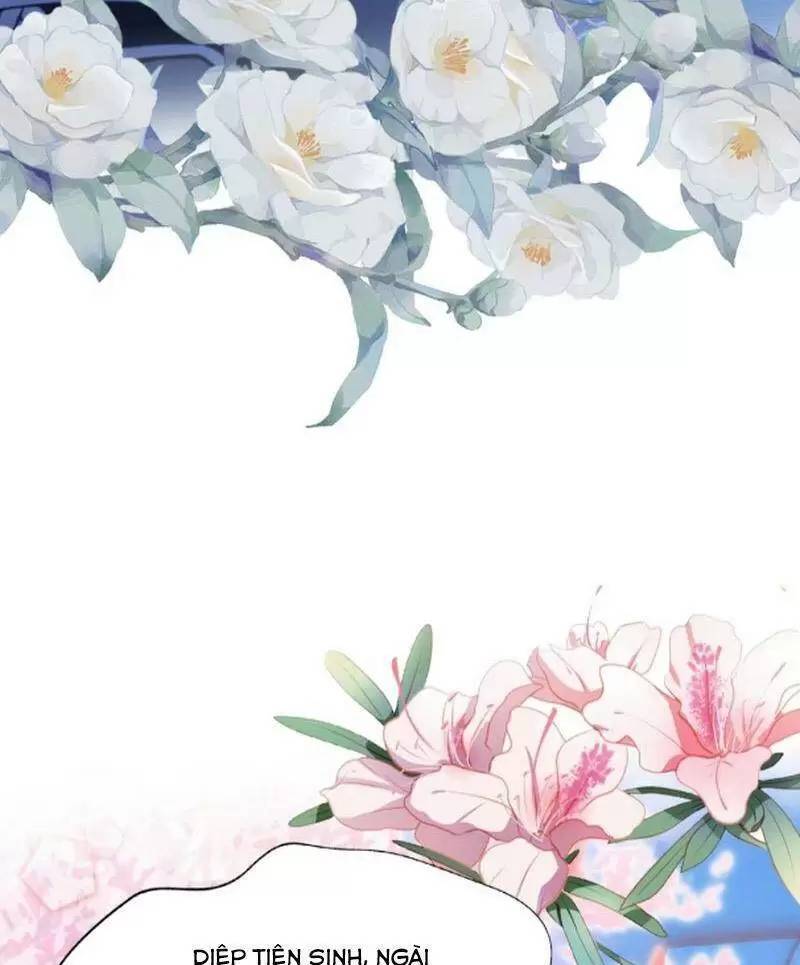 Hoá Ra Ta Đã Vô Địch Từ Lâu - Chapter 28 - Page 19