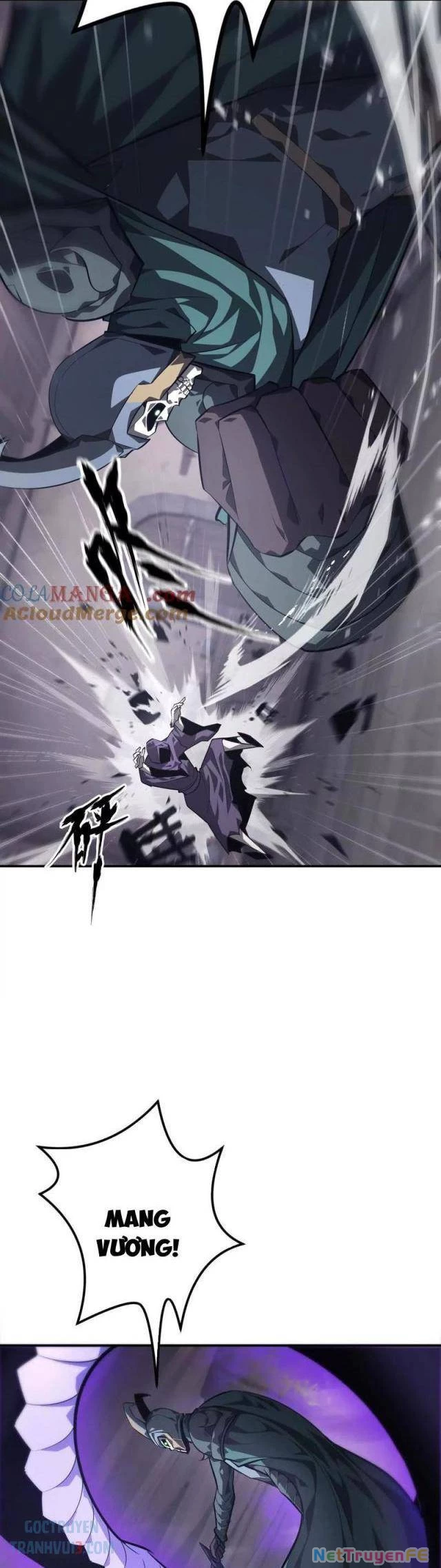 Võng Du Thiên Hạ Vô Song - Chapter 45 - Page 13