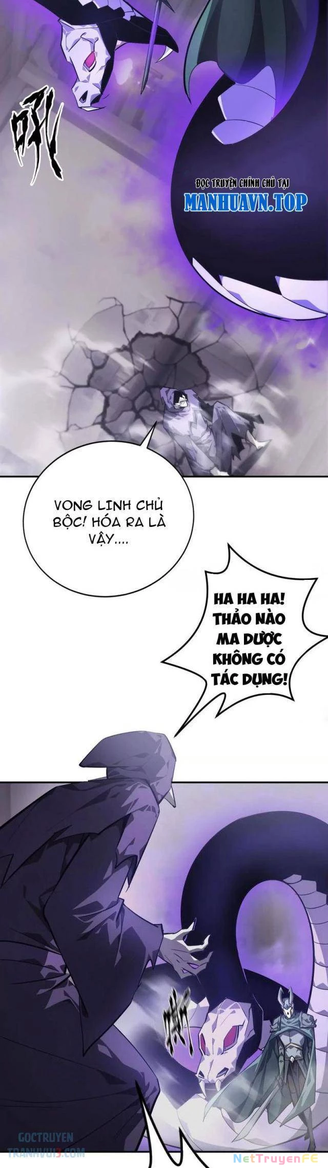 Võng Du Thiên Hạ Vô Song - Chapter 45 - Page 14