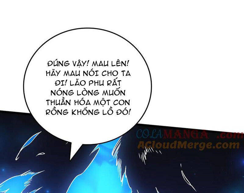 Bắt Đầu Kế Nhiệm Boss Hắc Long, Ta Vô Địch - Chapter 40 - Page 16