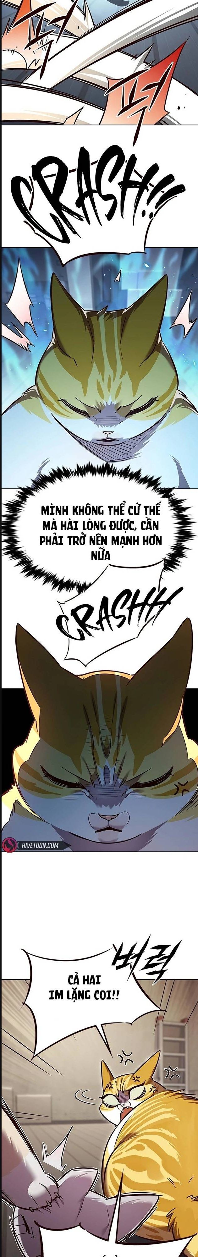 Hoá Thân Thành Mèo - Chapter 322 - Page 17