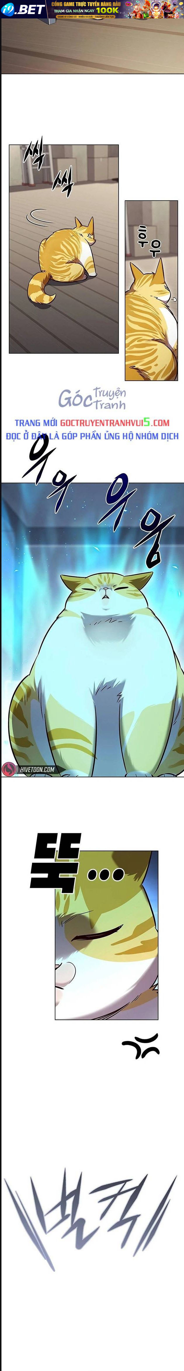 Hoá Thân Thành Mèo - Chapter 322 - Page 19