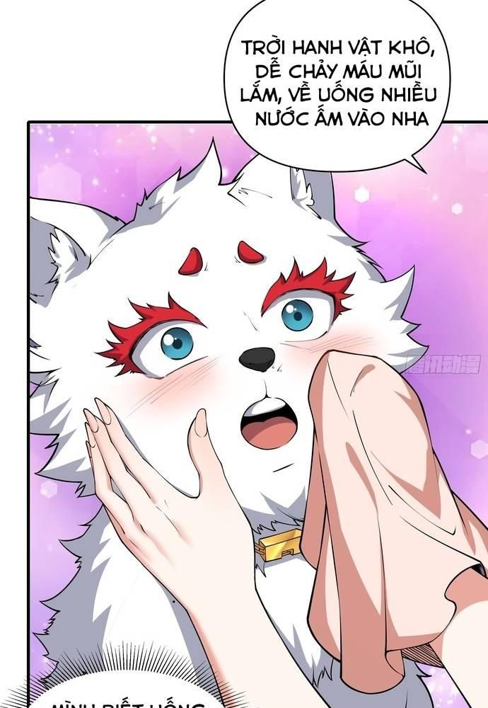 Xuyên Qua Thành Npc Xui Xẻo: Ta Có Lão Bà Che Chở - Chapter 13 - Page 12