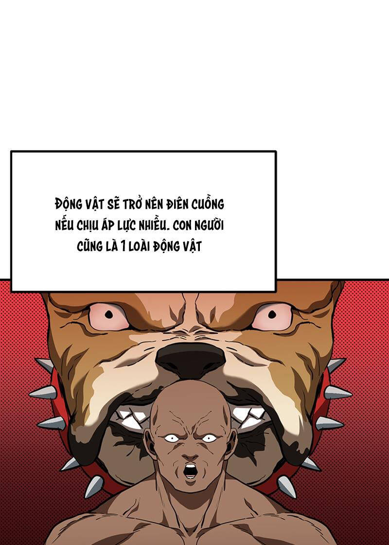 Vua Võ Đài - Chapter 41 - Page 11