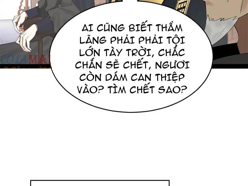 Chàng Rể Mạnh Nhất Lịch Sử - Chapter 241 - Page 19