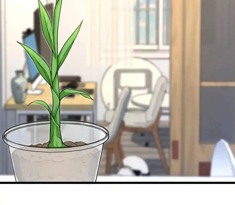 Bà Xã Nhà Tôi Đến Từ Ngàn Năm Trước - Chapter 274 - Page 42