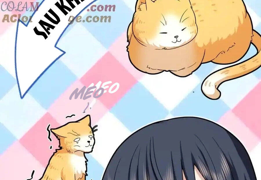 Bà Xã Nhà Tôi Đến Từ Ngàn Năm Trước - Chapter 274 - Page 91