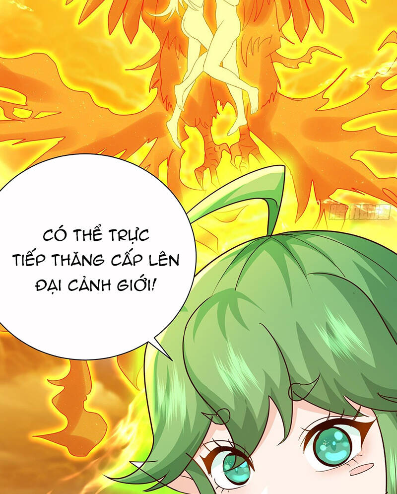 Hệ Thống Hèn Mọn Quỳ Xuống Cầu Xin Ta Vô Địch - Chapter 3 - Page 21