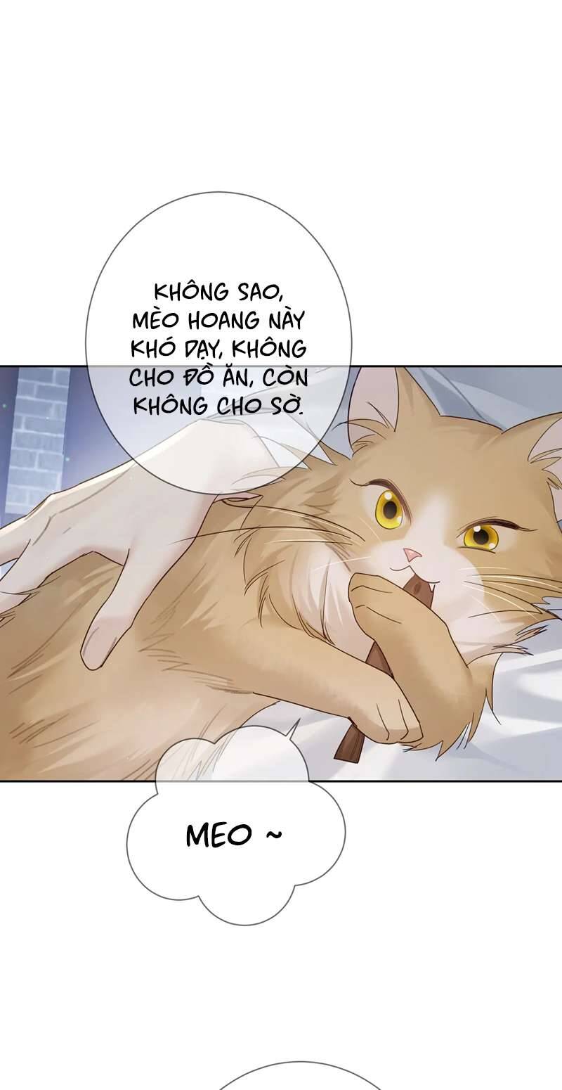 Nhân Vật Chính Chỉ Muốn Yêu Đương - Chapter 63 - Page 20