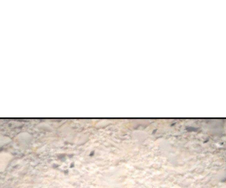 Sự Trở Lại Của Vị Thần Sức Mạnh - Chapter 66 - Page 225