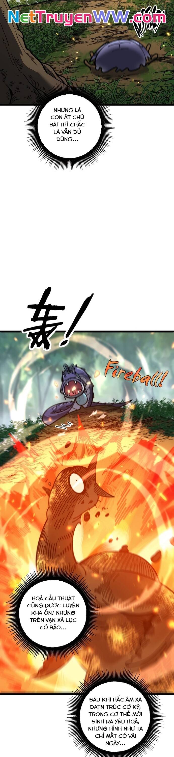 Lão Xà Tu Tiên Truyện Chapter 10 - Trang 26