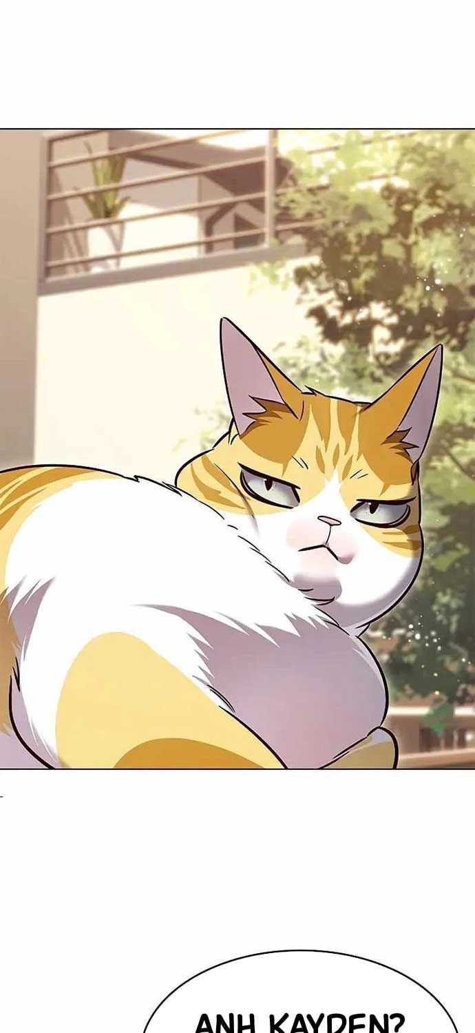Hoá Thân Thành Mèo - Chapter 323 - Page 24