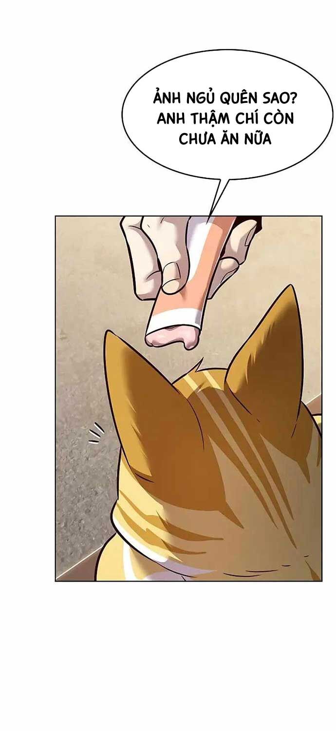 Hoá Thân Thành Mèo - Chapter 323 - Page 26