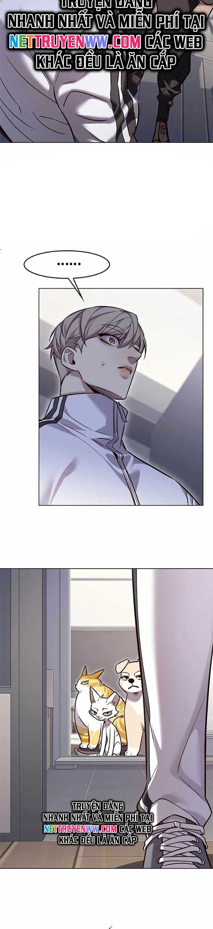 Hoá Thân Thành Mèo - Chapter 324 - Page 4