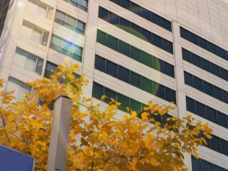 Trọng Sinh Không Làm Chạn Vương Tôi Một Mình Nạp Game Thăng Cấp - Chapter 160 - Page 78